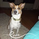 William LeVan - @williamlevan - Instagram