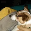 williamlevan8 - @williamlevan8 - TikTok