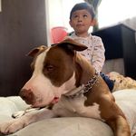 William Leyton - @william.leyton.77 - Instagram