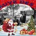 William Lievens - Facebook
