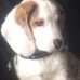 William Lojewski - Facebook
