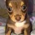 William Linares - Facebook