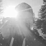 William Lindblad - @lindblad_william - Instagram