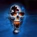William Lindblad - Facebook