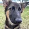 William Lindblad - @william.lindblad12 - TikTok