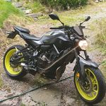 William - @william_lindell9 - Instagram