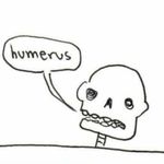 William Lindell - @totally_not_a_skeleton - Instagram