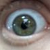 William Lindell - Facebook
