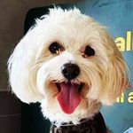 William Linger - @william.linger - Instagram