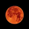 William Linger - @william.linger0 - TikTok