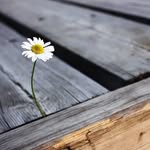 William Liow - @liow5395 - Instagram
