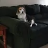 williamlipinski - @williamlipinski - TikTok