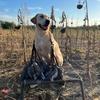 William Pipkin - @williampipkin - TikTok