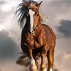 William Litaker - @williamlitaker7421 - TikTok