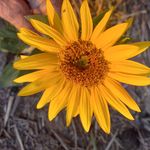 William Logsdon - @logsdon8826 - Instagram