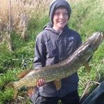 William Lohse - @william.lohse - Instagram