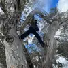 William Lombard - @william_lombard - TikTok