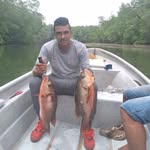 William Lombardo - @lombardo.william - Instagram