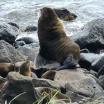 Bill Longworth - @william.longworth - Instagram