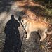William Loose - Facebook