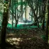 William Loosemore - @williamloosemore - TikTok