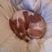 William Korn Lopiccolo - Facebook