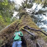 William Allen Lormand - @stormin_lormand - Instagram