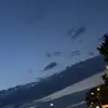 william_Lost - @william_lost - TikTok