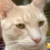 William Lottes - @william.lottes1 - TikTok