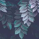 William A. Louden - @williamlouden1979 - Instagram
