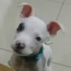 Slovick William - @slovickwilliam - TikTok