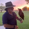 Will Lubrano - @peli4fun - TikTok