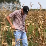 william - @william_lucaas - Instagram