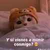 William Luc - @william.luc - TikTok