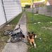 William Luc Launay - Facebook