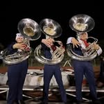 William Lucente - @tubawill - Instagram