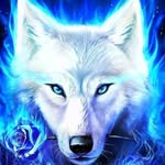 william lucid - @drwolfy69 - Instagram
