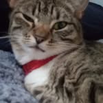 William Lucid - @will_l73 - Instagram