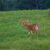 williamcluckett - @williamcluckett - TikTok