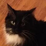 William Luebke - @williamluebke - Instagram