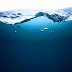William Luftman - @williamvonluftman123 - Instagram