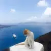 William Luo - @william.luo6 - TikTok