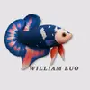 William Luo - @william.luo168 - TikTok