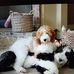 William Luokkala - Facebook