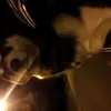 williamluo91 - @williamluo91 - TikTok