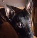 William Loper - Facebook