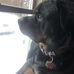 William Lussier - Facebook
