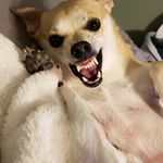 William Lussier - @william.lussier.37 - Instagram