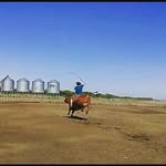 William Maciel - @williammaciel2333 - Instagram