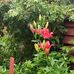 William Mackey - Facebook